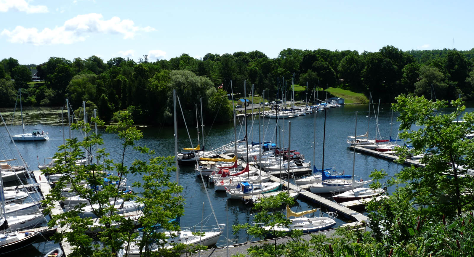 yacht club picton